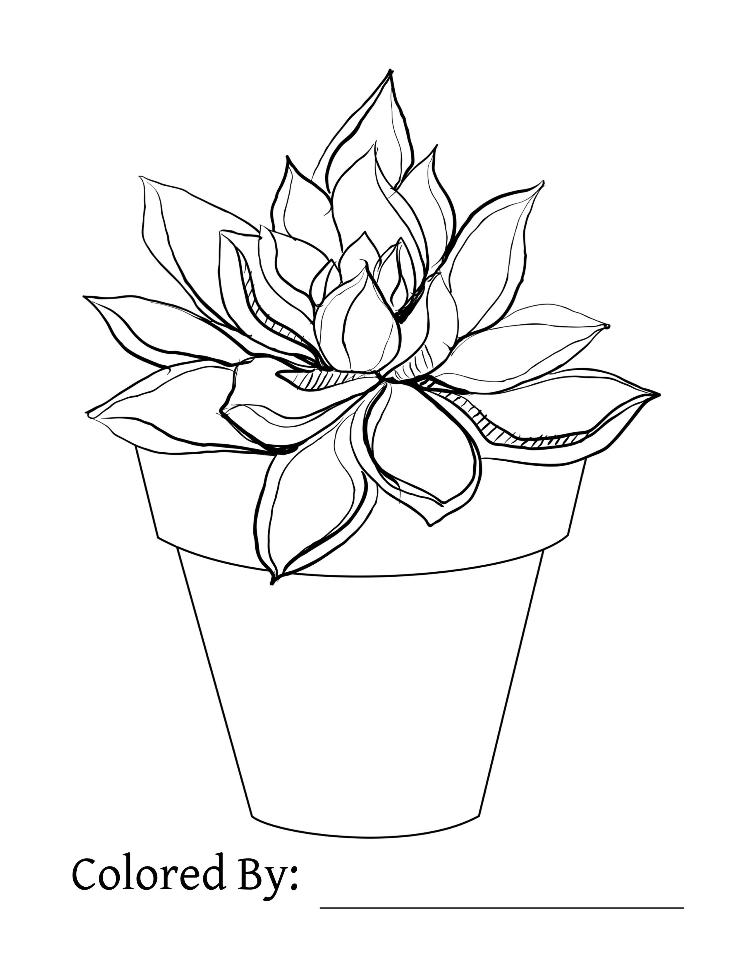 succulent coloring page