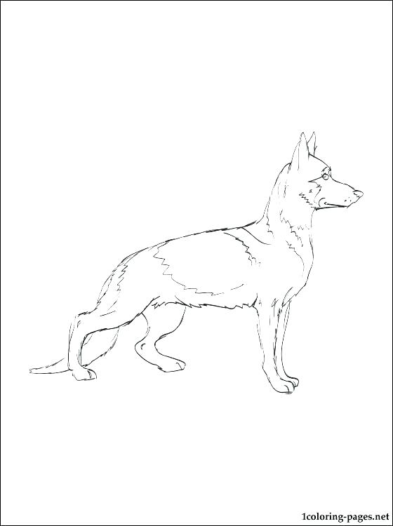 black lab coloring page