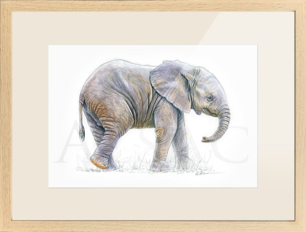 view dessin imprimer elephant background