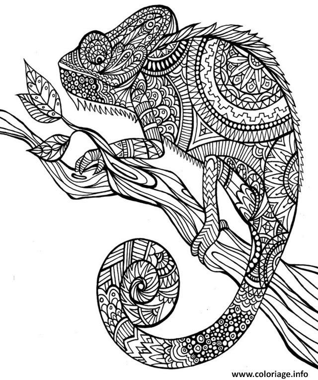 coloriage anti stress greatestcoloringbook