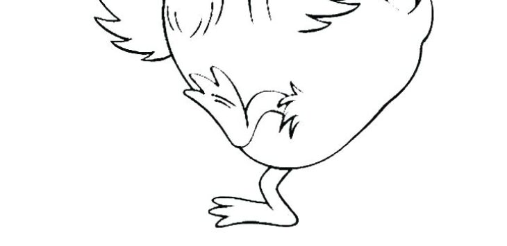 realistic duck coloring pages realistic duck coloring pages