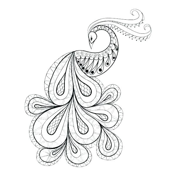 beautiful peacock coloring pages