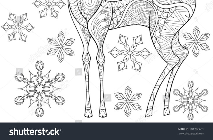 reindeer coloring pages for adults reindeer coloring pages for adults