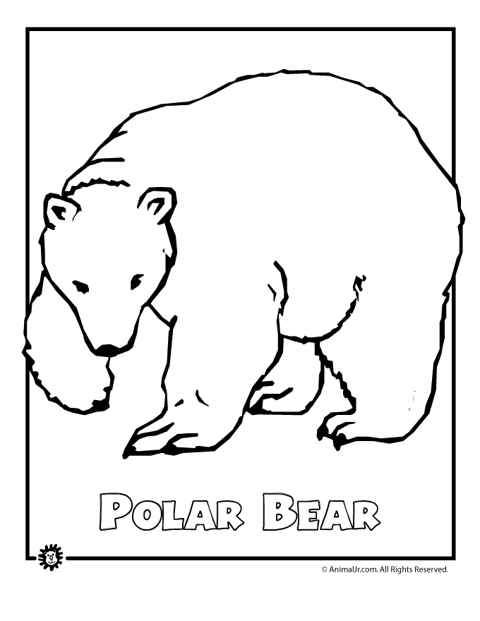 Free Printable Arctic Animals Coloring Pages - Coloring Home