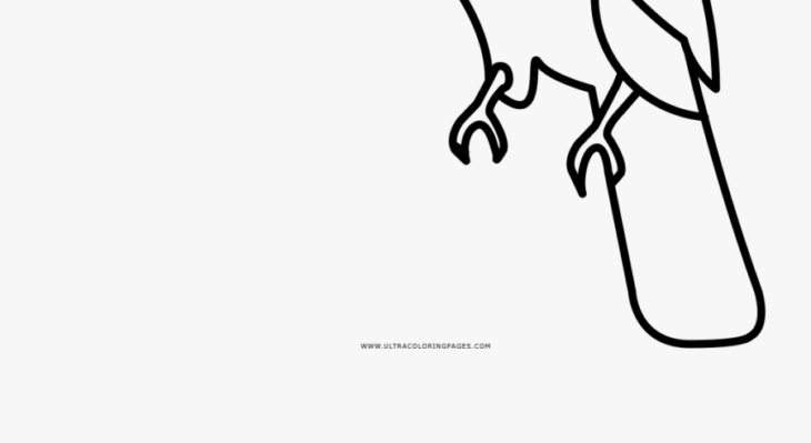 tucan coloring page tucan coloring page