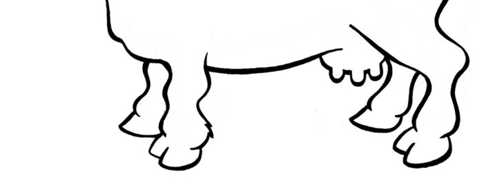 free printable cow coloring pages