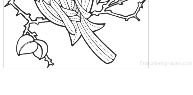 march coloring page march coloring page