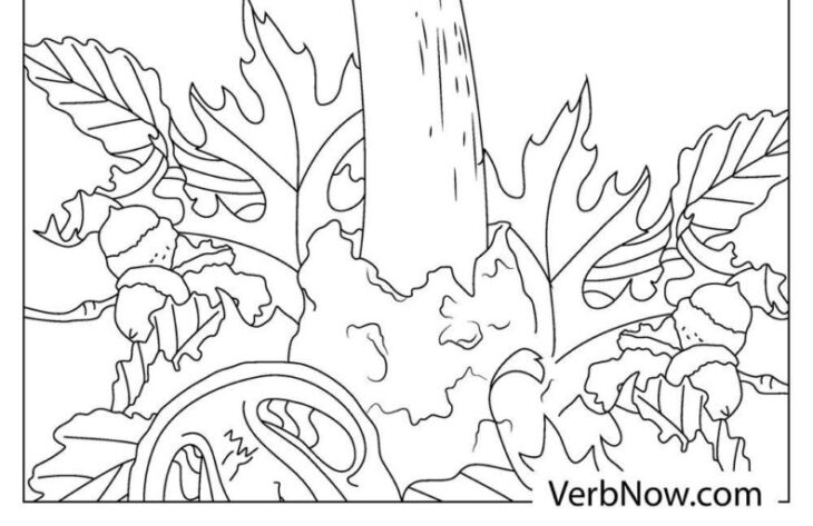realistic mushroom coloring pages realistic mushroom coloring pages