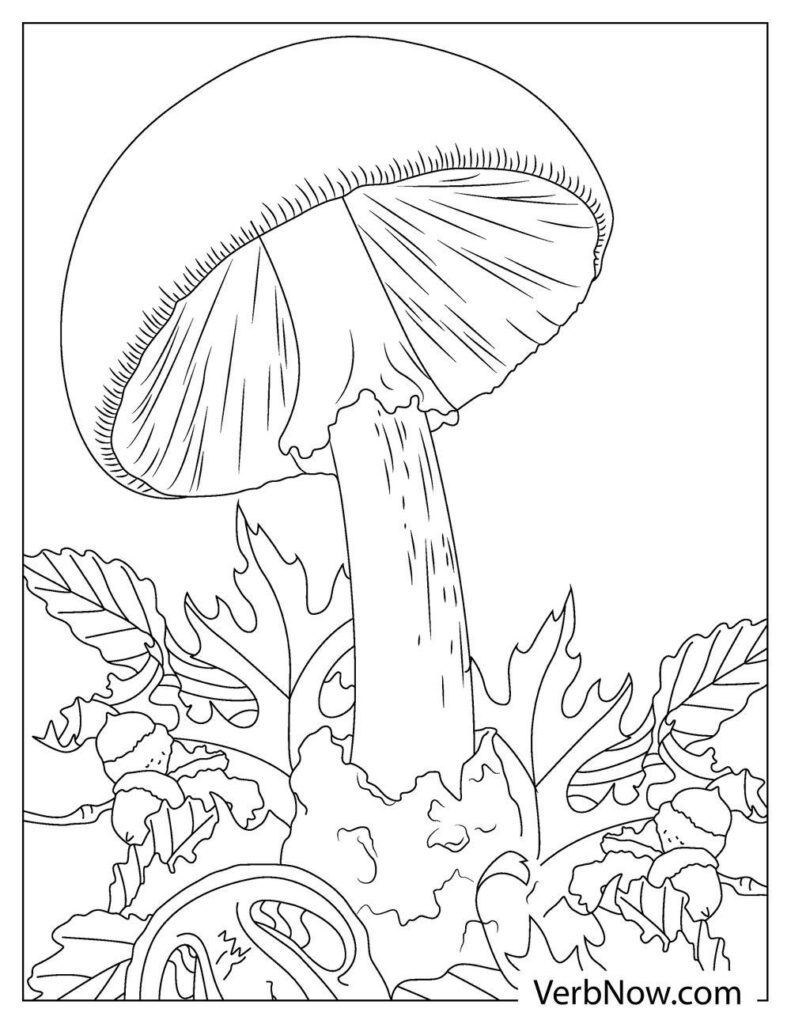 Free MUSHROOM Coloring Pages & Book for Download (Printable PDF) - VerbNow