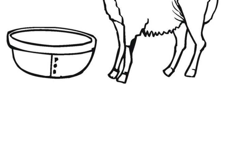 sheep coloring pages printable sheep coloring pages printable