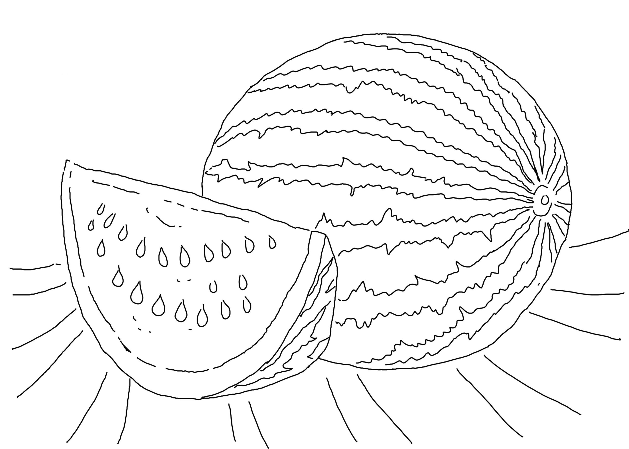 watermelon coloring pages