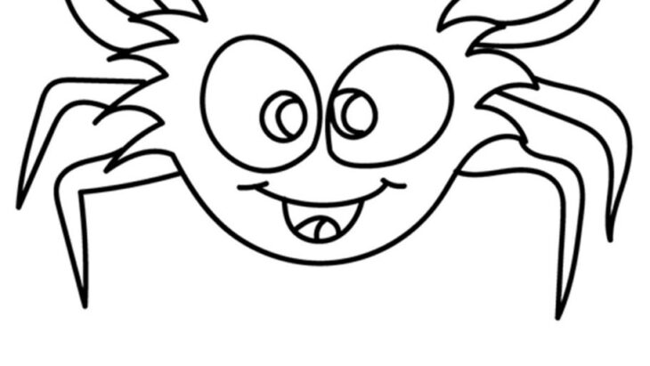 spider color page spider color page