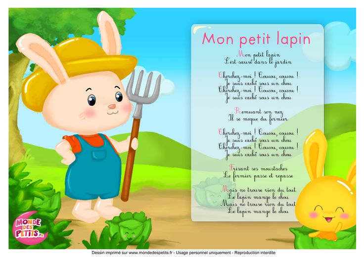 mon petit lapin titounis