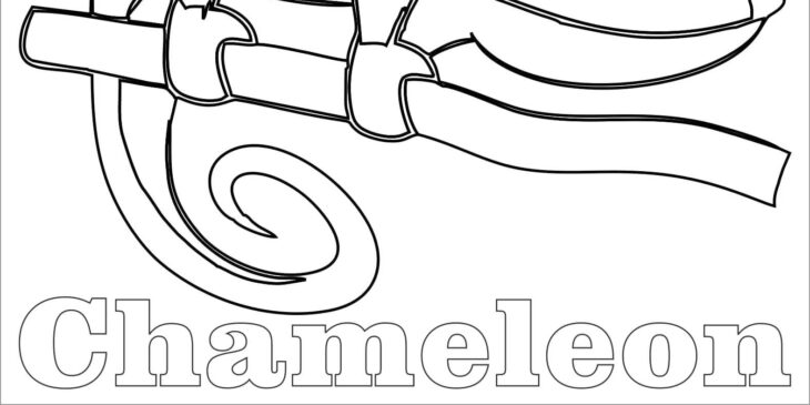 chameleon coloring page chameleon coloring page