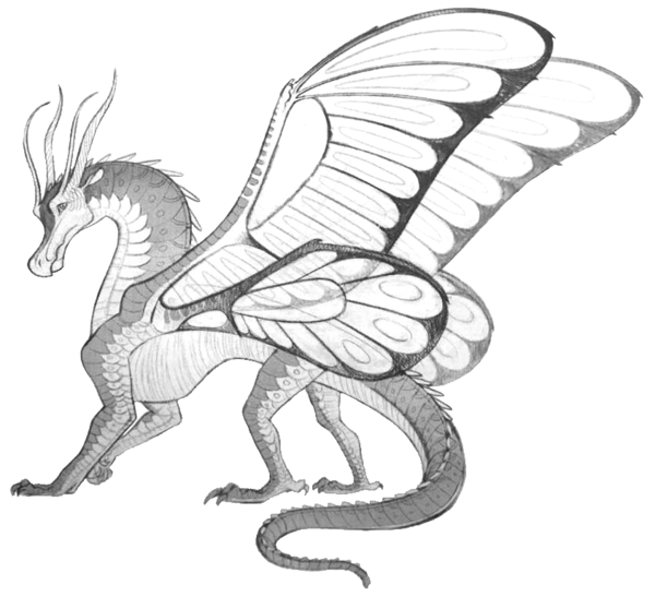 wings of fire coloring pages silkwing