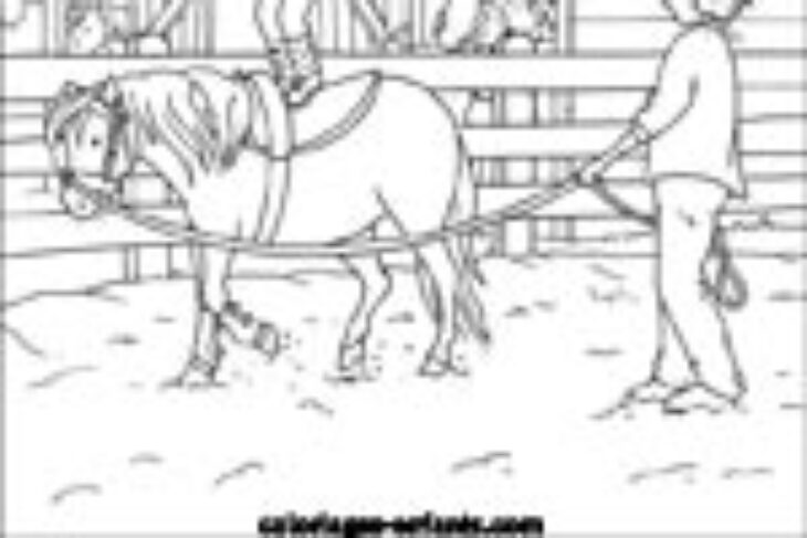12 dessin a imprimer centre equestre background 12 dessin a imprimer centre equestre background