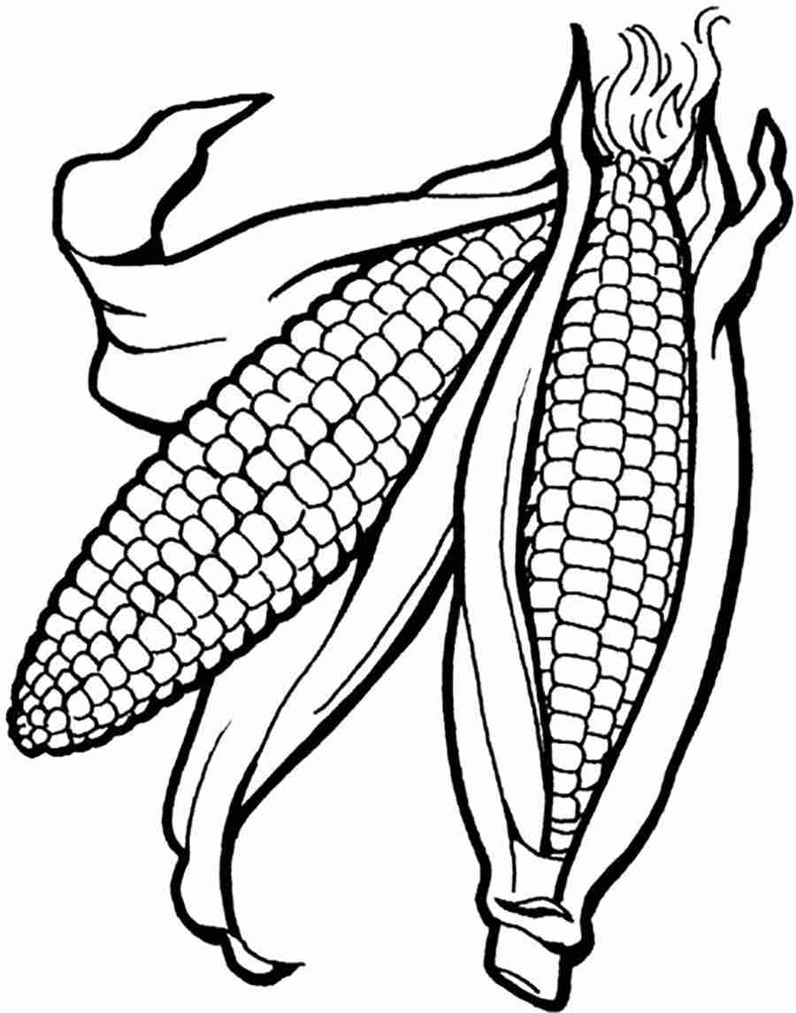 coloring page corn