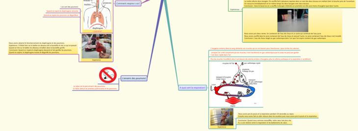 schacma vierge svt respiration pdf schacma vierge svt respiration pdf