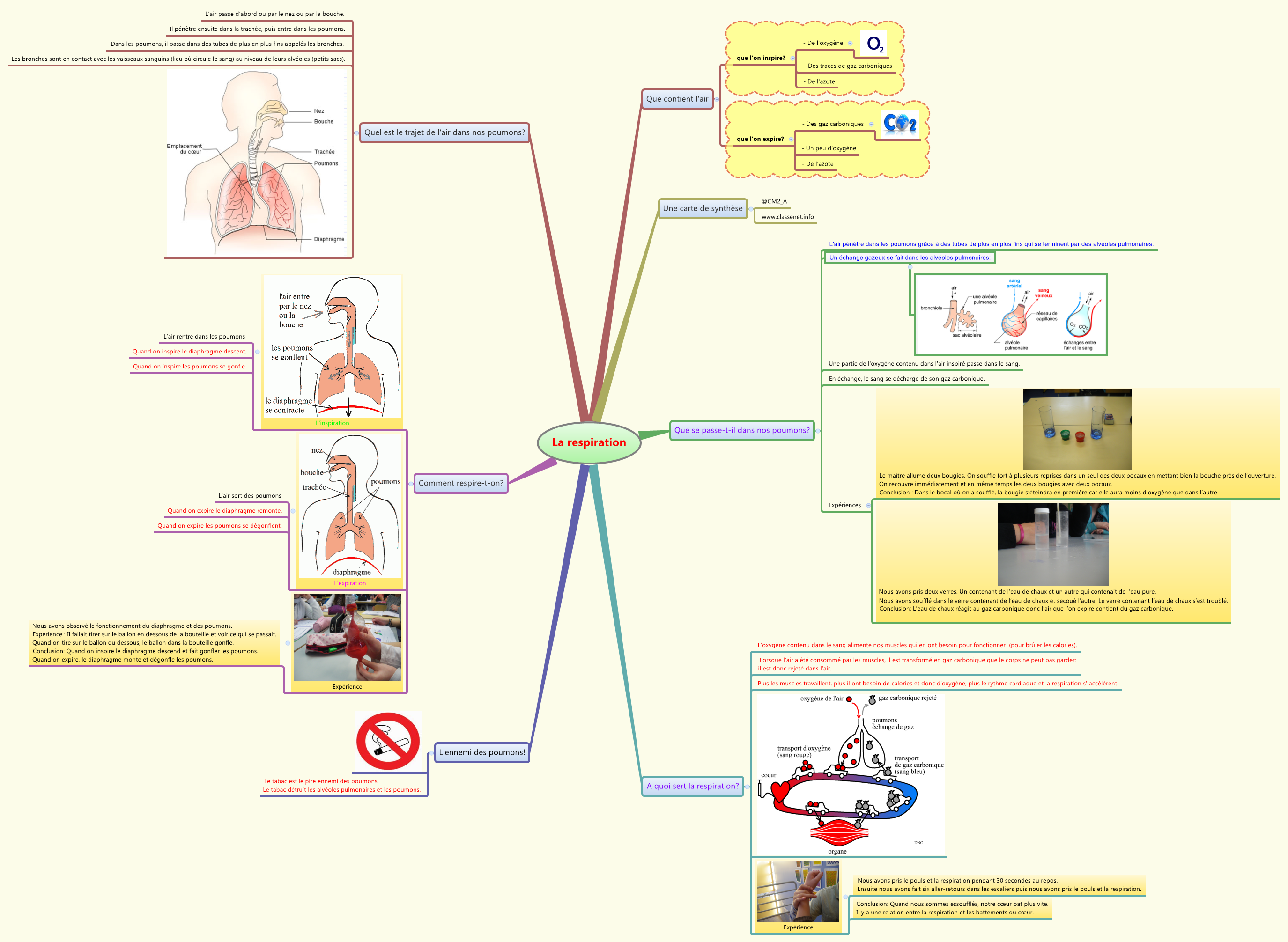 schacma vierge svt respiration pdf