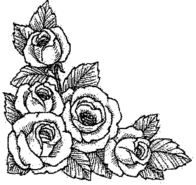 download dessin a imprimer rose pics