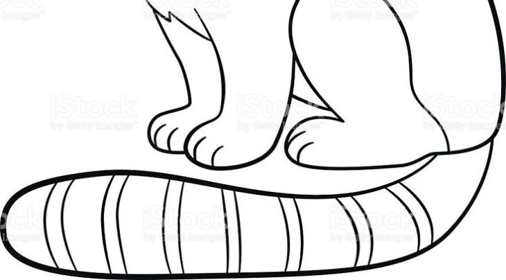 cute red panda coloring page cute red panda coloring page