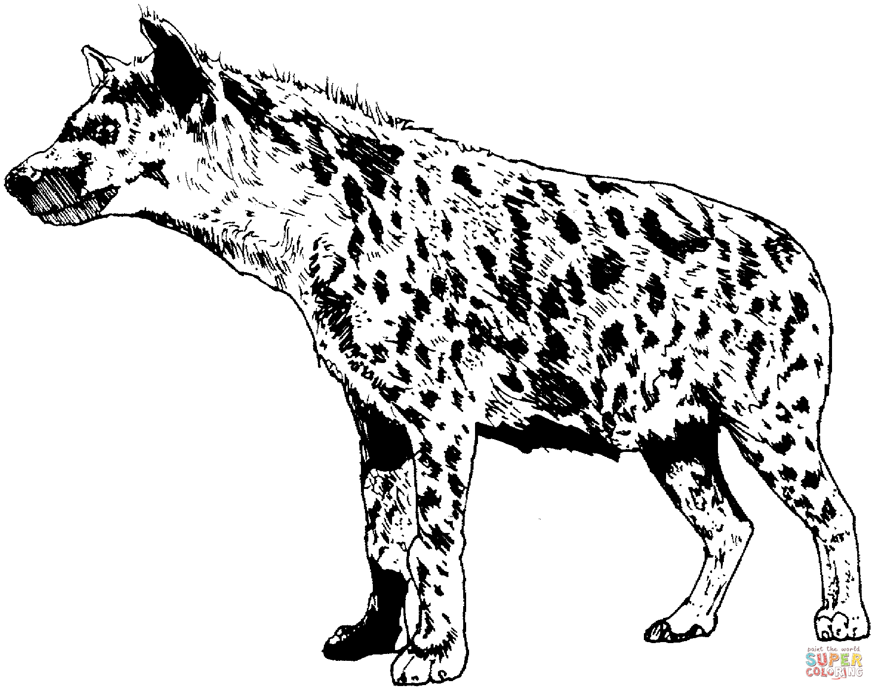 hyena coloring pages