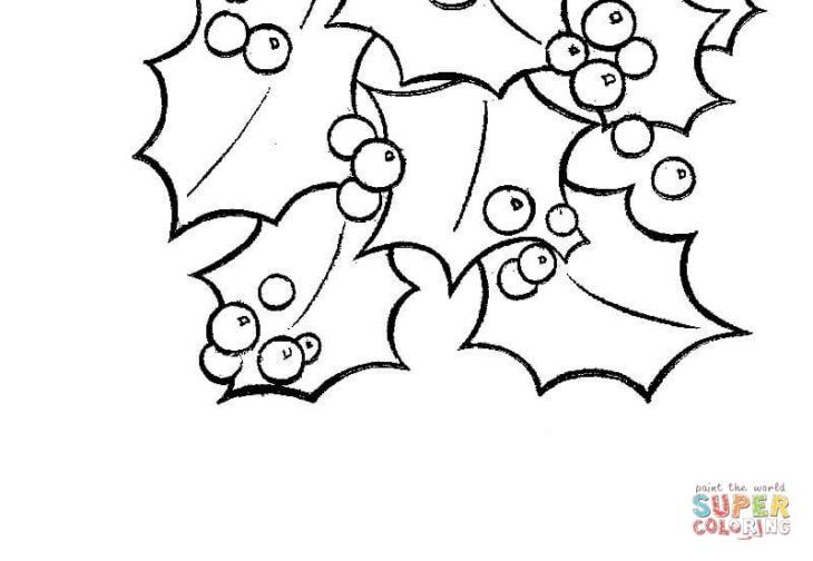 holly coloring page holly coloring page