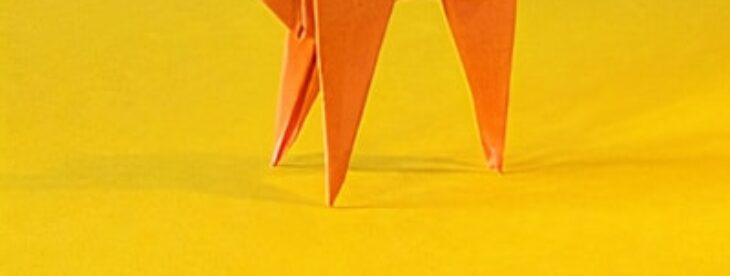 tiere falten kindergarten tiere falten kindergarten