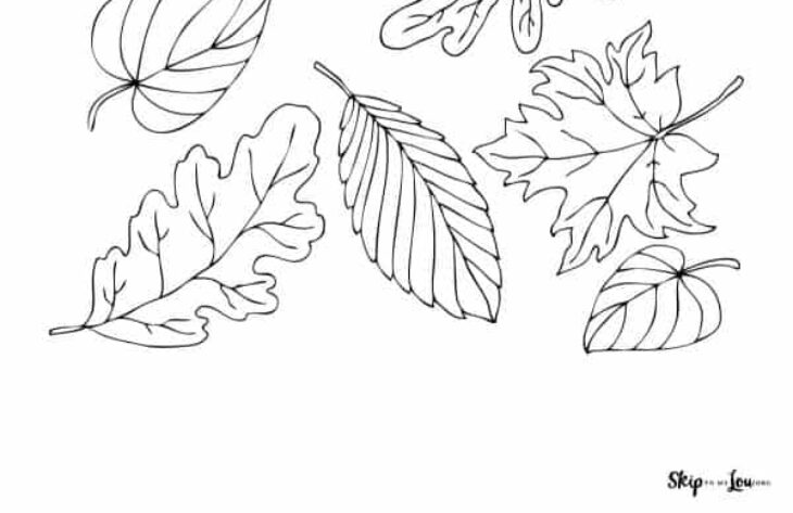 fall leaves color page fall leaves color page