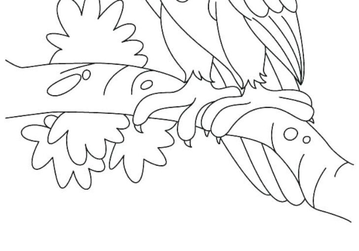 mexican eagle coloring page mexican eagle coloring page