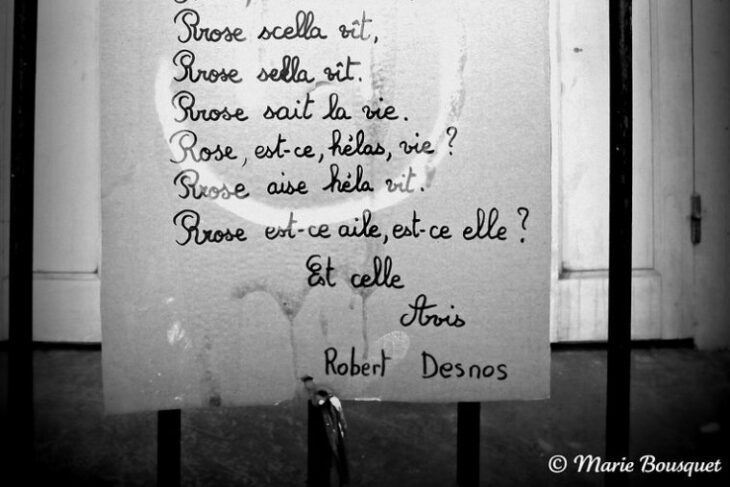 une voix face au pouvoir de desnos une voix face au pouvoir de desnos