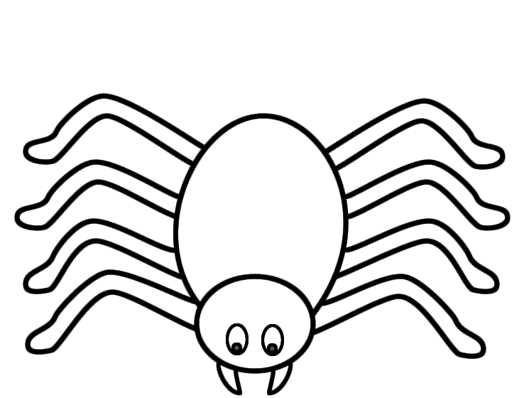 spider coloring page