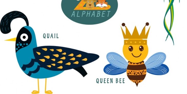 animal qui commence par q en anglais animal qui commence par q en anglais