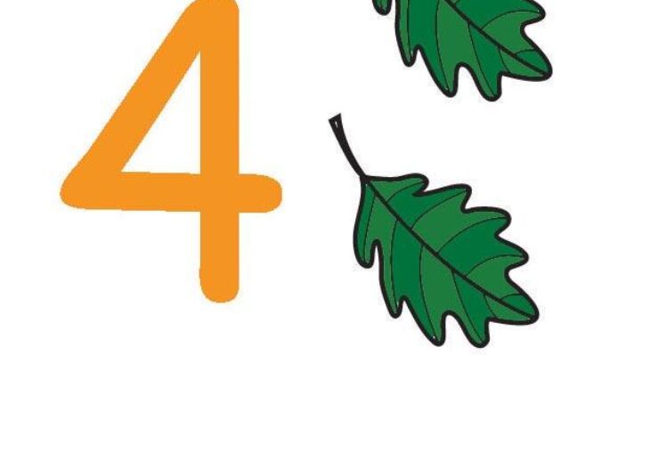 get dessin a imprimer quatre quatre pictures get dessin a imprimer quatre quatre pictures