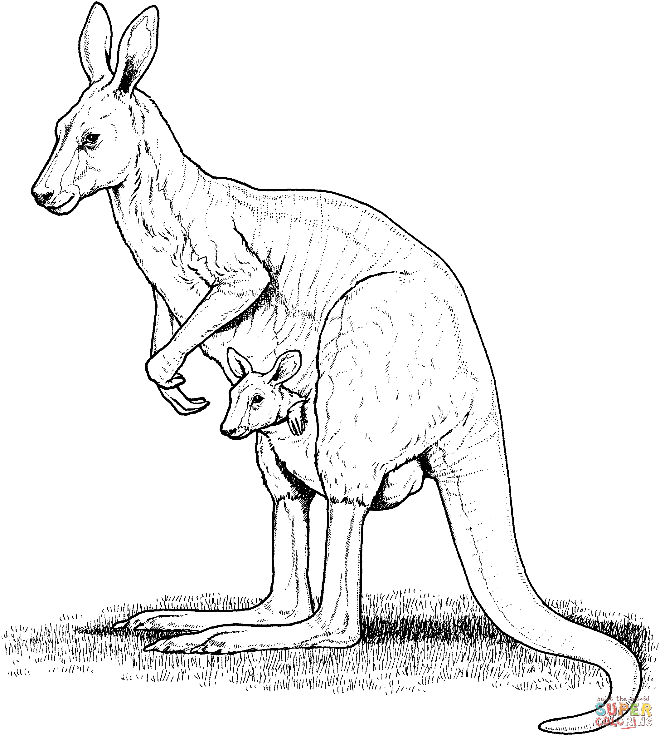 australia coloring pages printable