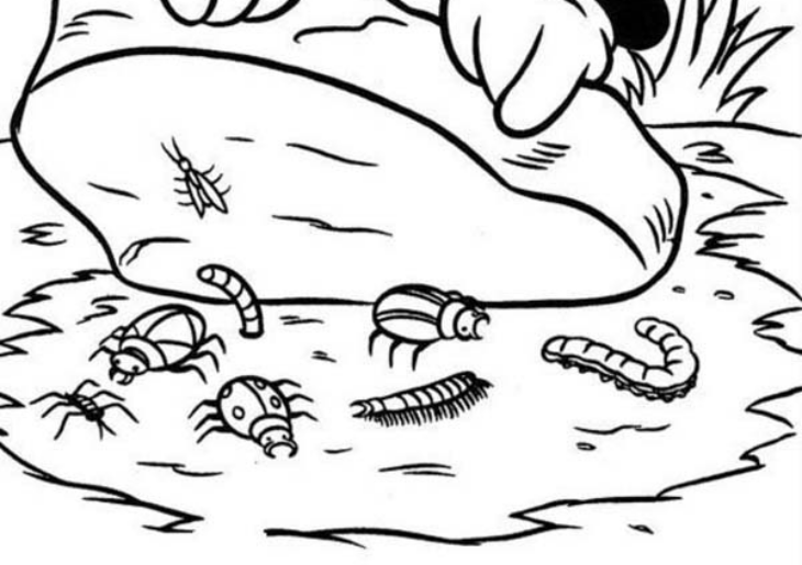 mickey safari coloring pages mickey safari coloring pages