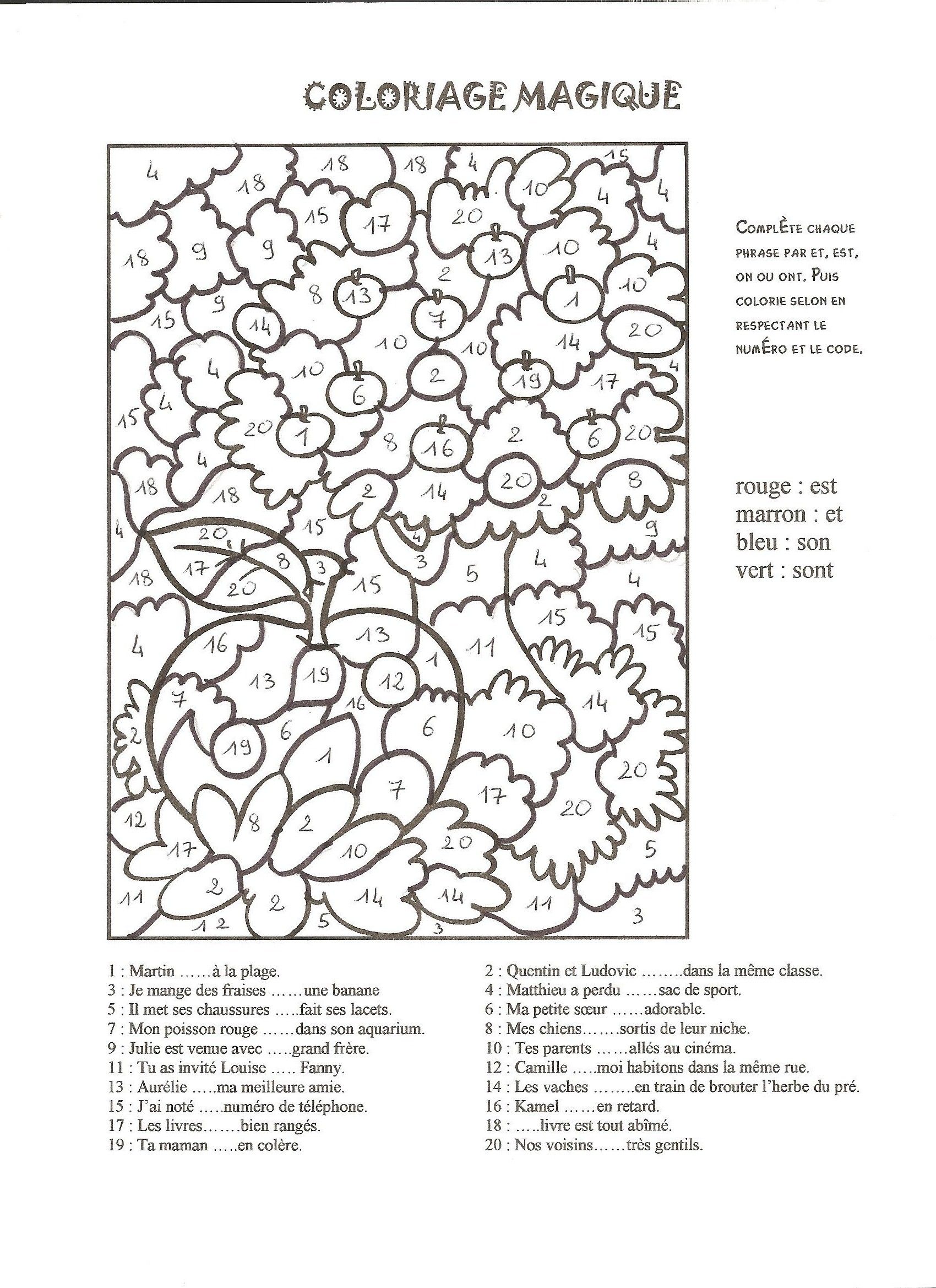 coloriage magique cm2 homophone