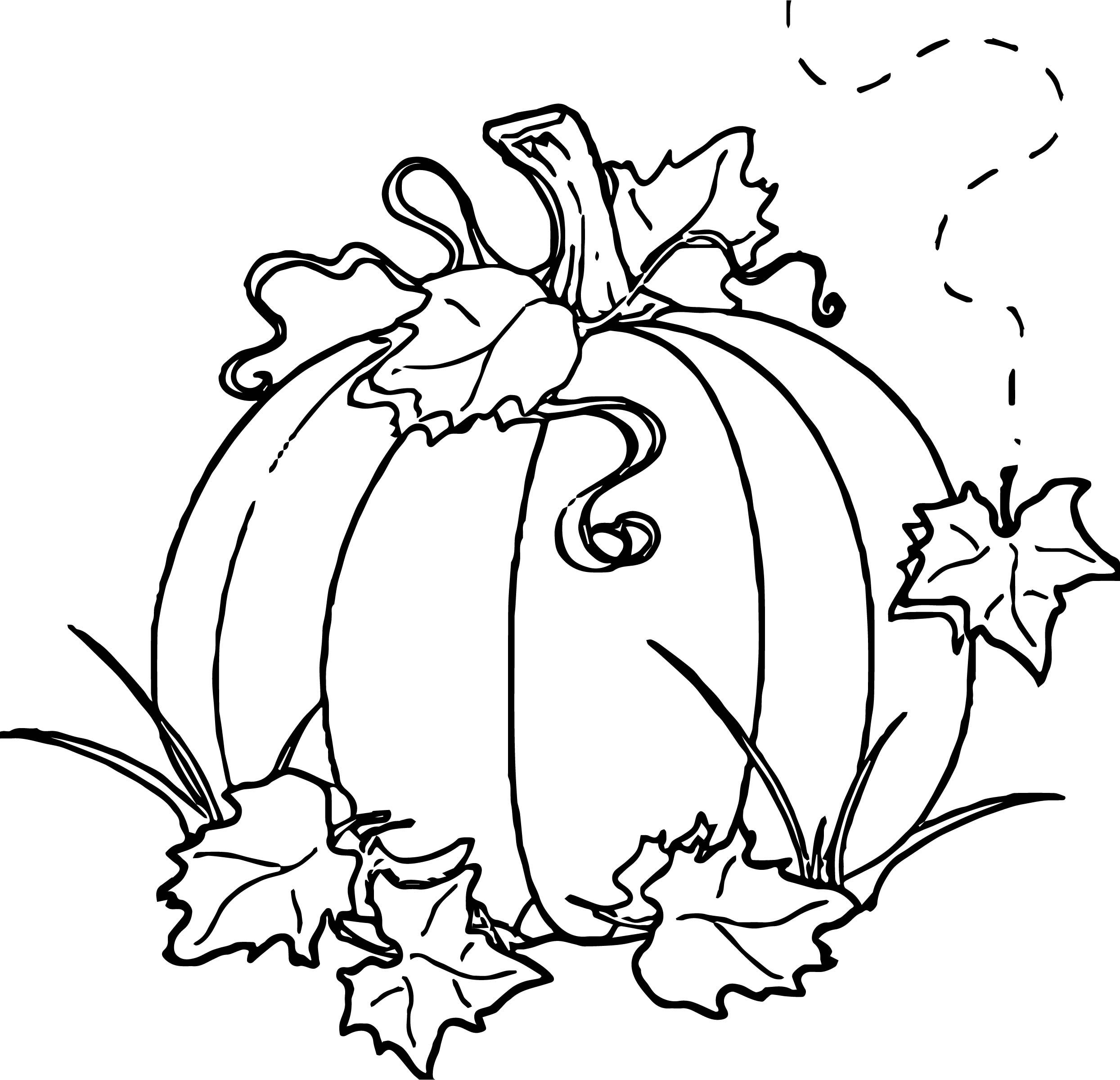 pumpkin leaves coloring pages