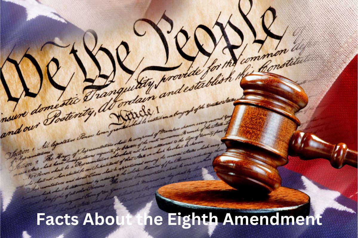 42 8 amendment pics