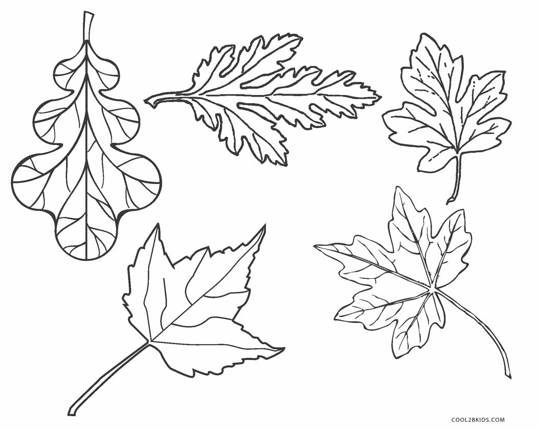 fall leaves printable coloring pages