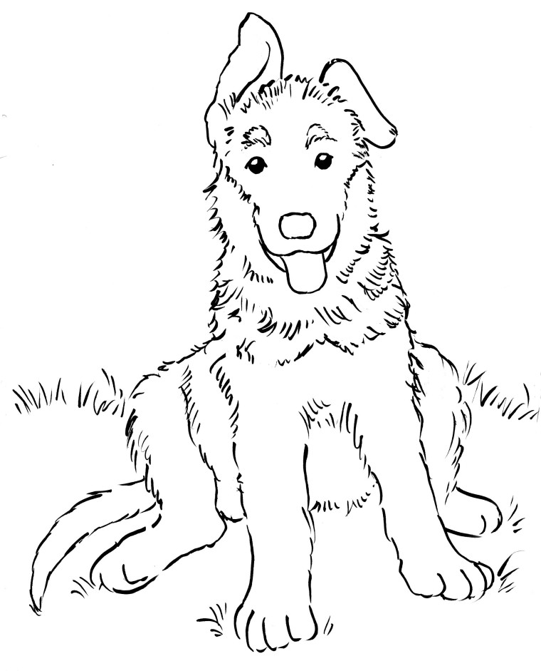 german shepard coloring page