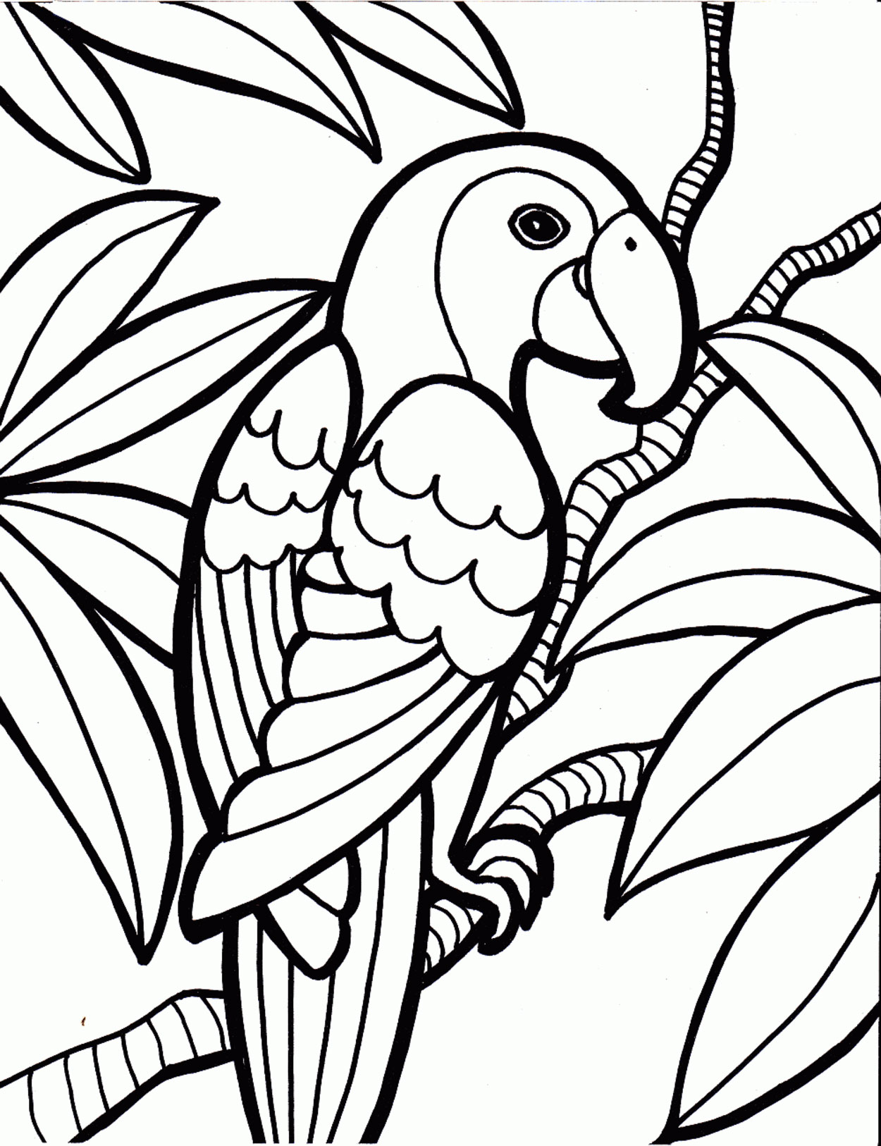 coloring pages parrot