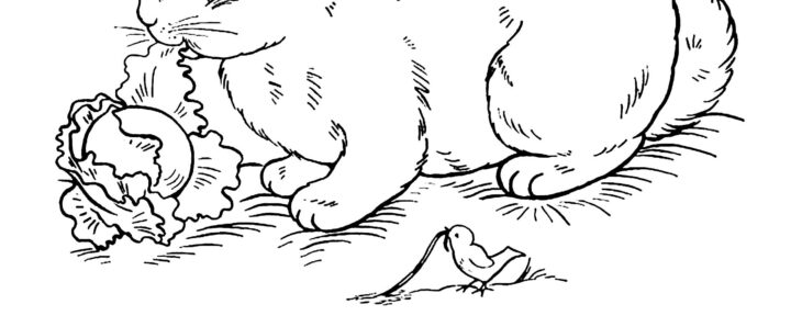 12 coloriages lapin background 12 coloriages lapin background