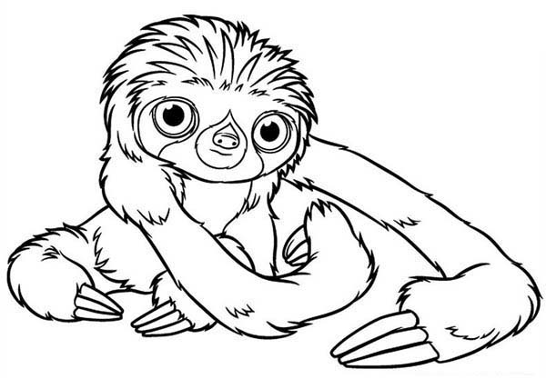 printable cute sloth coloring pages