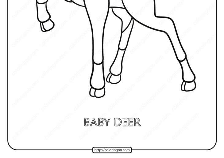 baby deer coloring pages baby deer coloring pages