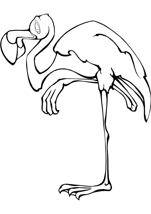 Flamingos Coloring Pages To Kids