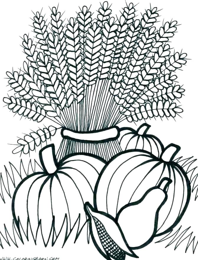 harvest printable coloring pages