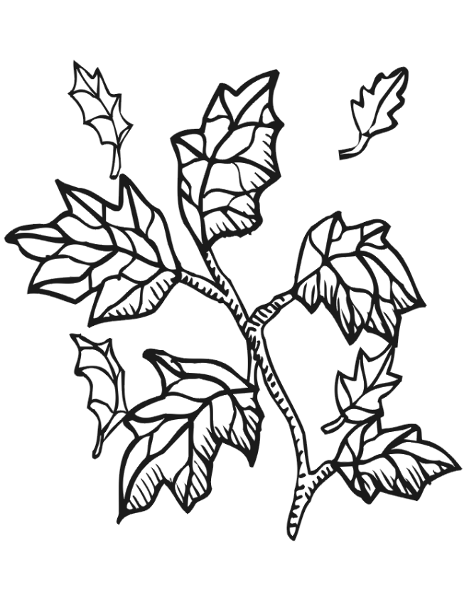 Printable Fall Leaves - Coloring Home