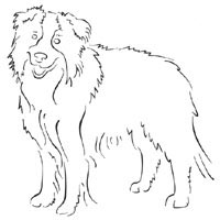 border collie coloring pages