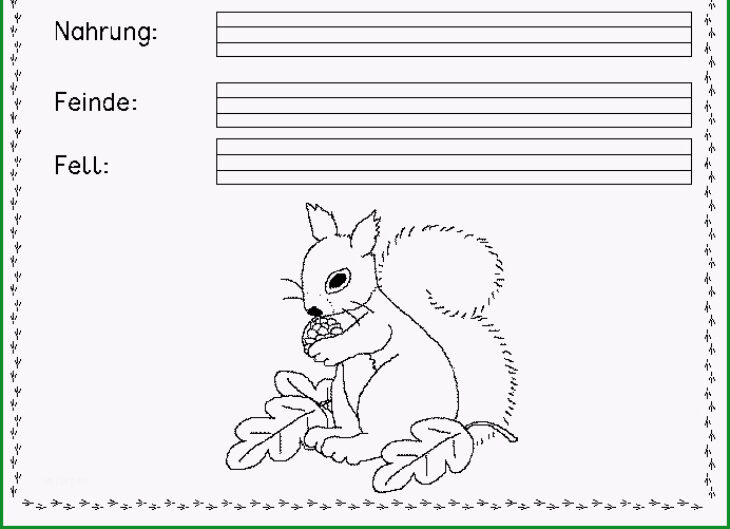 steckbrief tier vorlage steckbrief tier vorlage